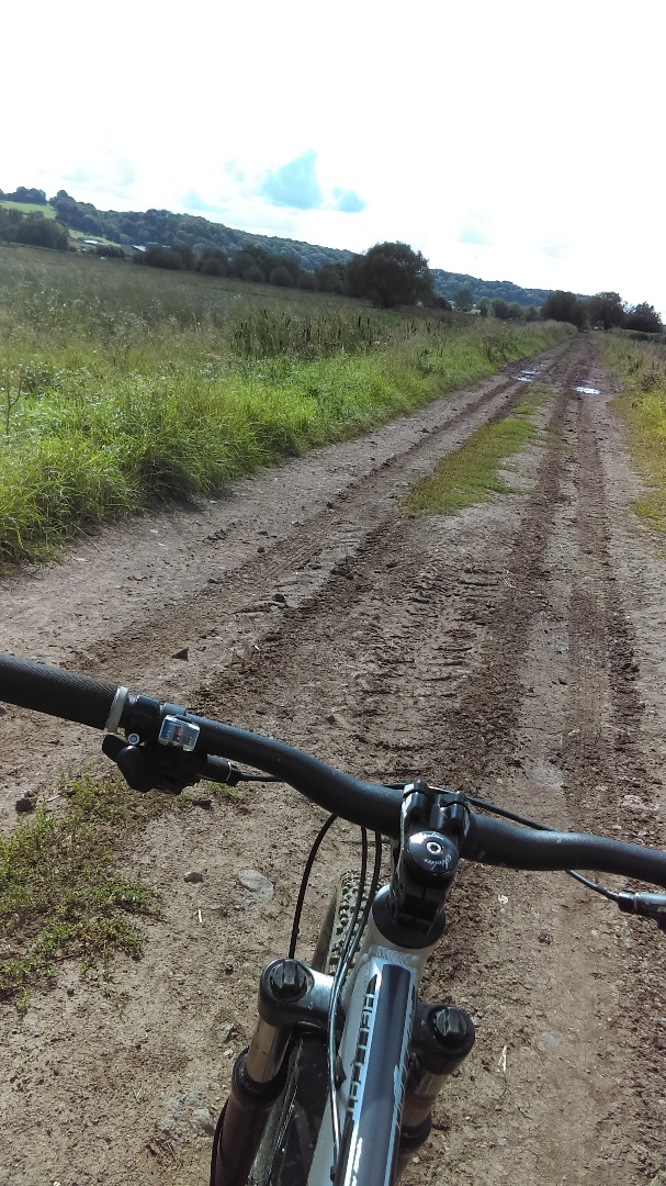 Mountain Bike