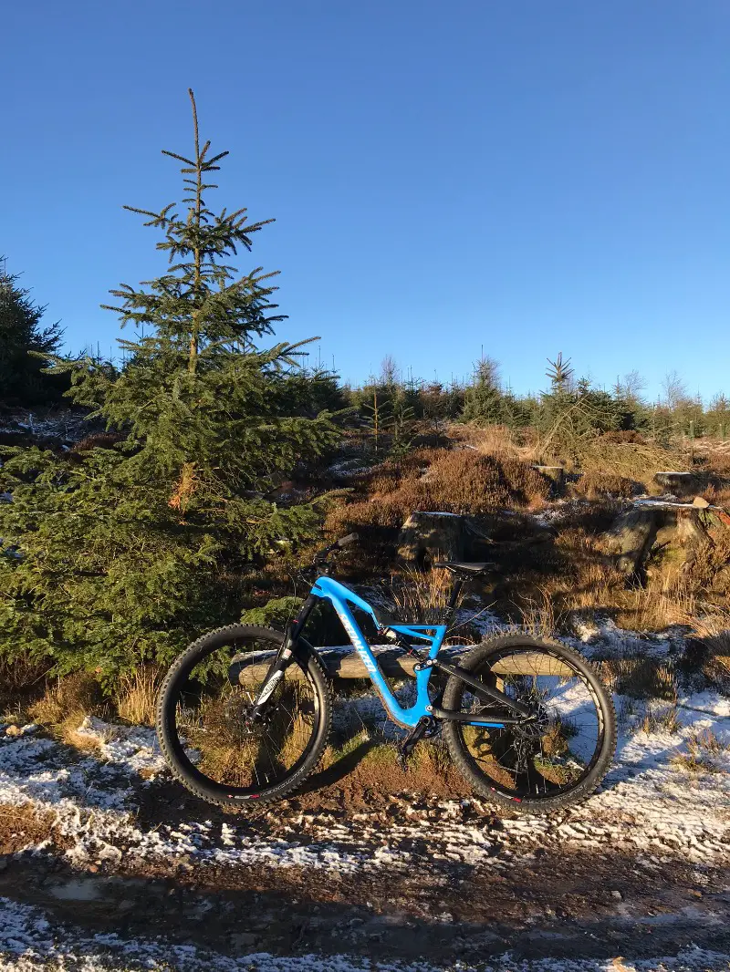 hamsterley forest bike park