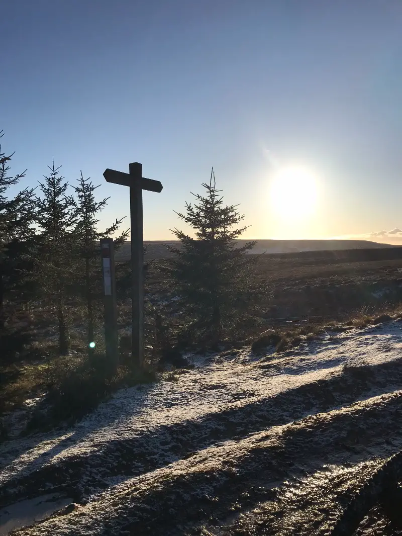 Hamsterley Forest Mountain Bike Trail Centre