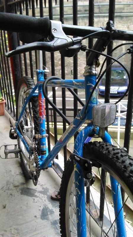 Mountain Bike