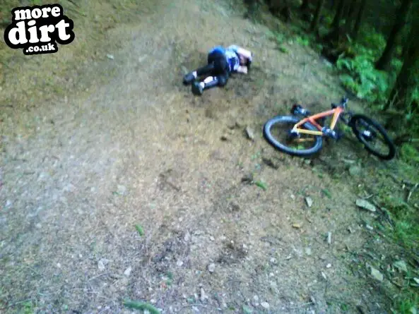 Black Trail - Coed Llandegla Forest