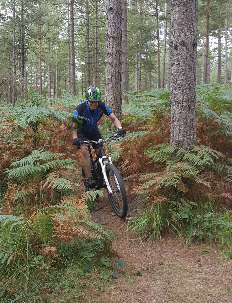Mountain Bike