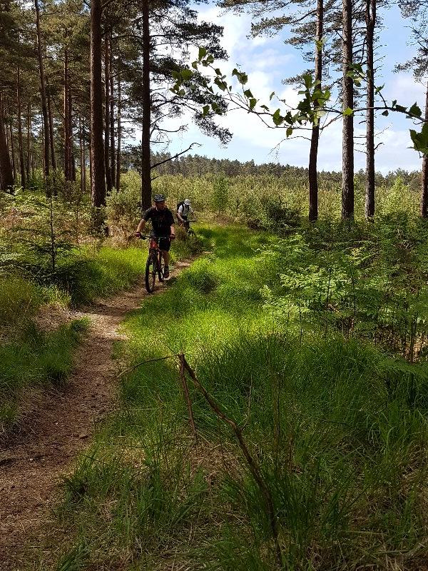 Mountain Bike