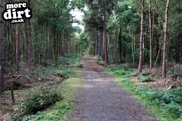 Delamere Forest Park