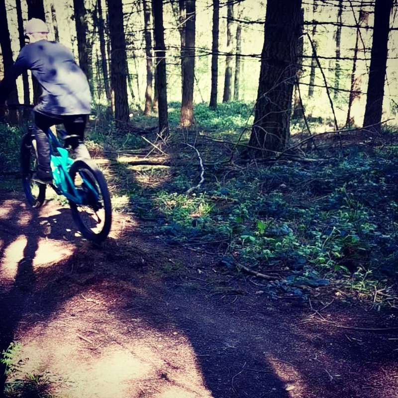 Mountain Bike