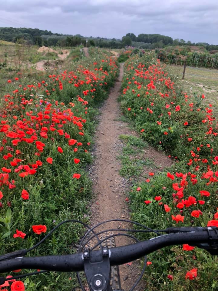 Twisted Oaks Mountain Bike Park