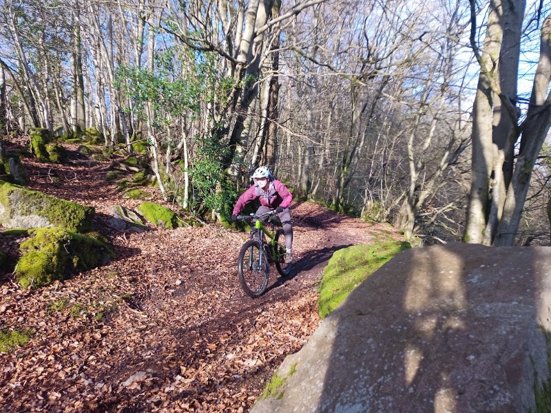 Mountain Bike