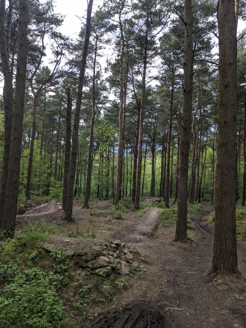 Bardon Hill Mountain Bike Trails