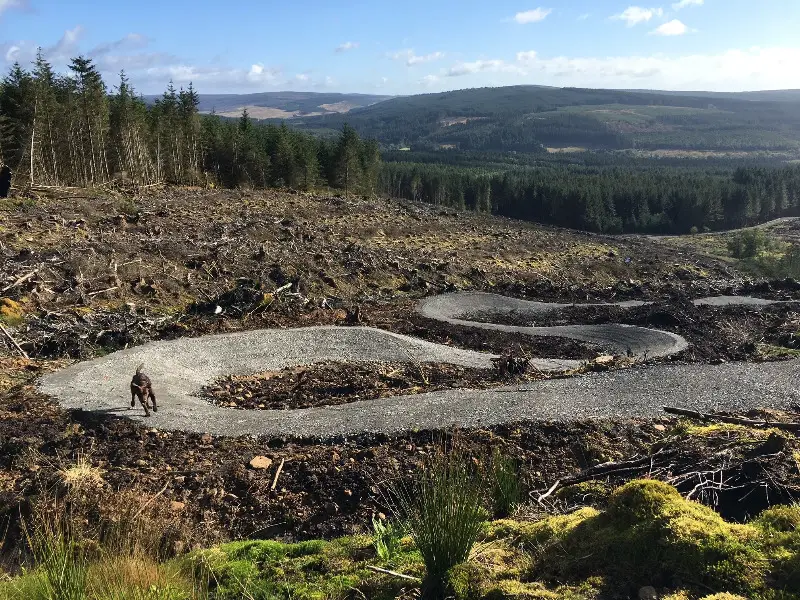 Lonesome Pine Trail - Kielder Forest