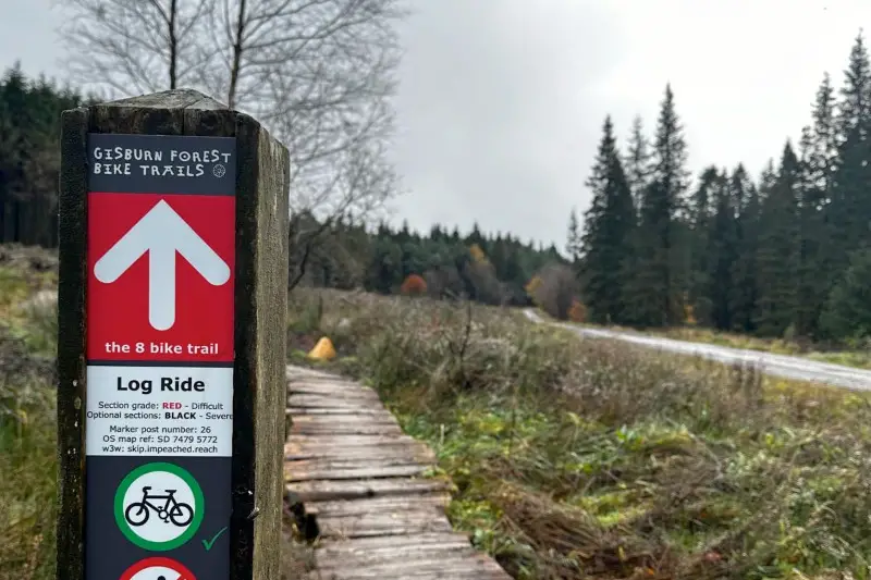 Log Ride MTB Trail - Gisburn Forest