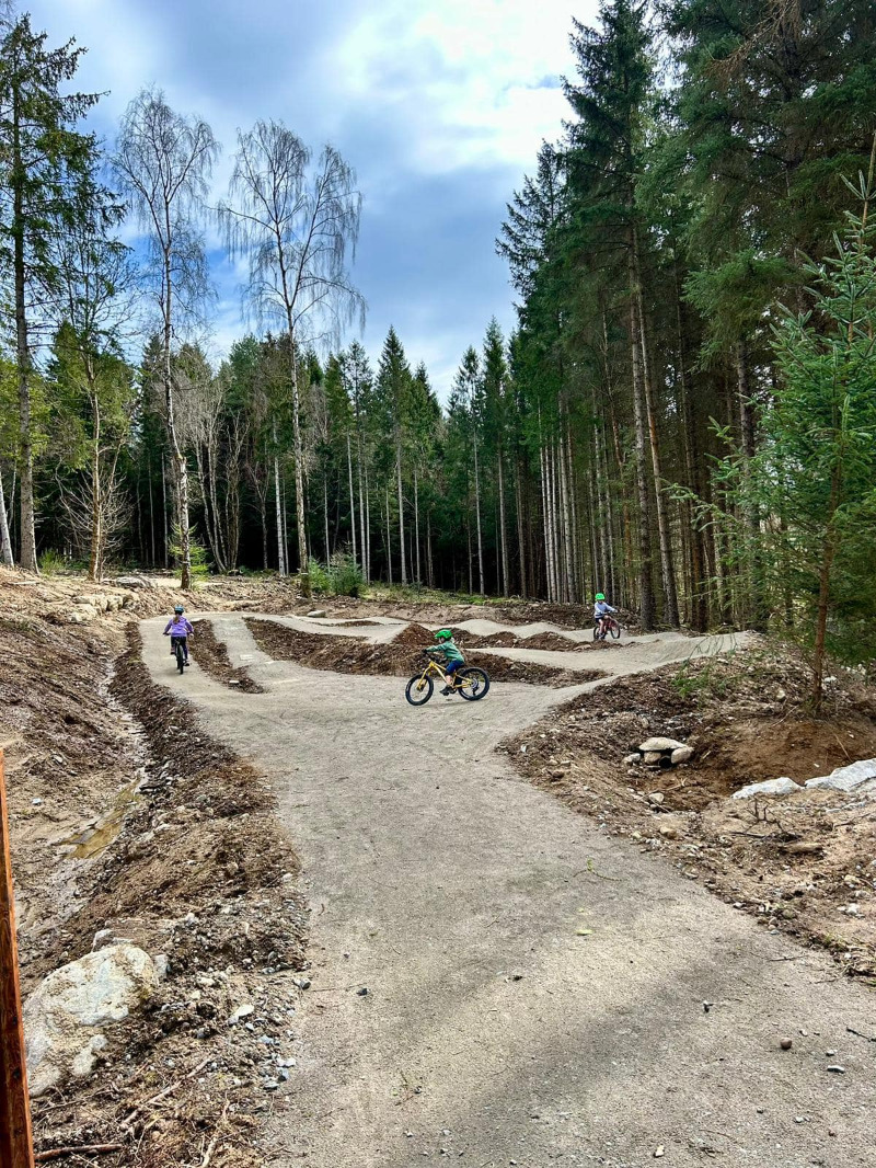 Mountain Bike