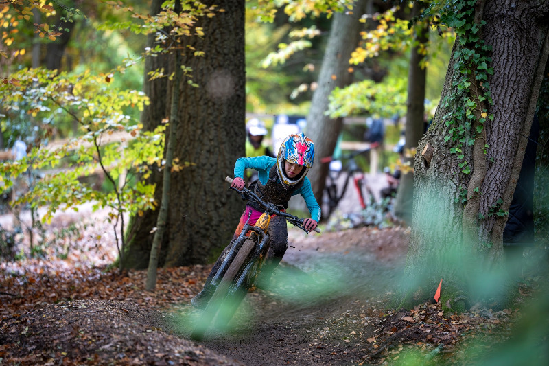 Mountain Bike
