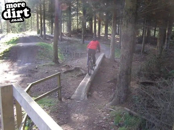 Freeride Park - Glentress