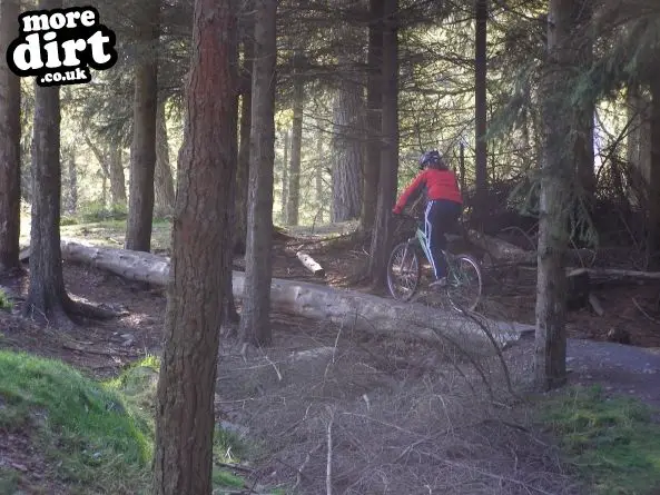 Freeride Park - Glentress