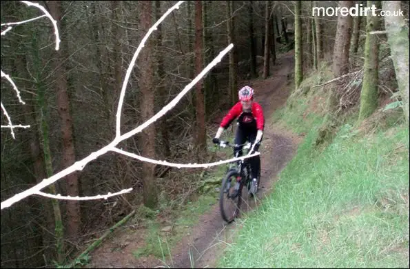 The Wall Trail - Afan Forest