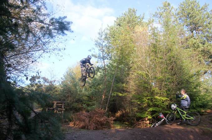 Tavi Woodlands